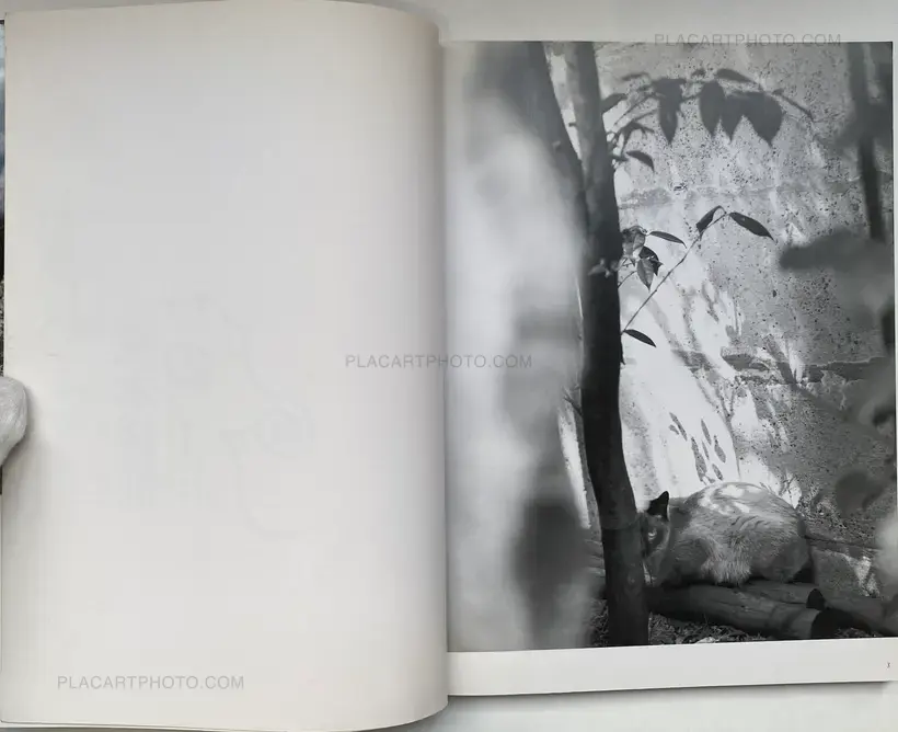 Tokyo Neko Machi (Living Cats in Tokyo) (WITH OBI)