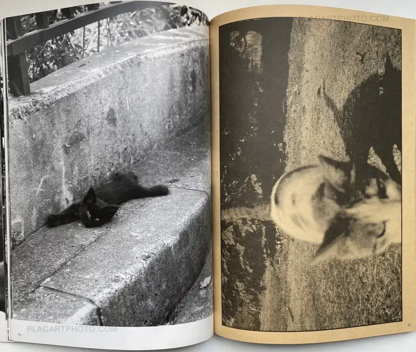 Tokyo Neko Machi (Living Cats in Tokyo) (WITH OBI)