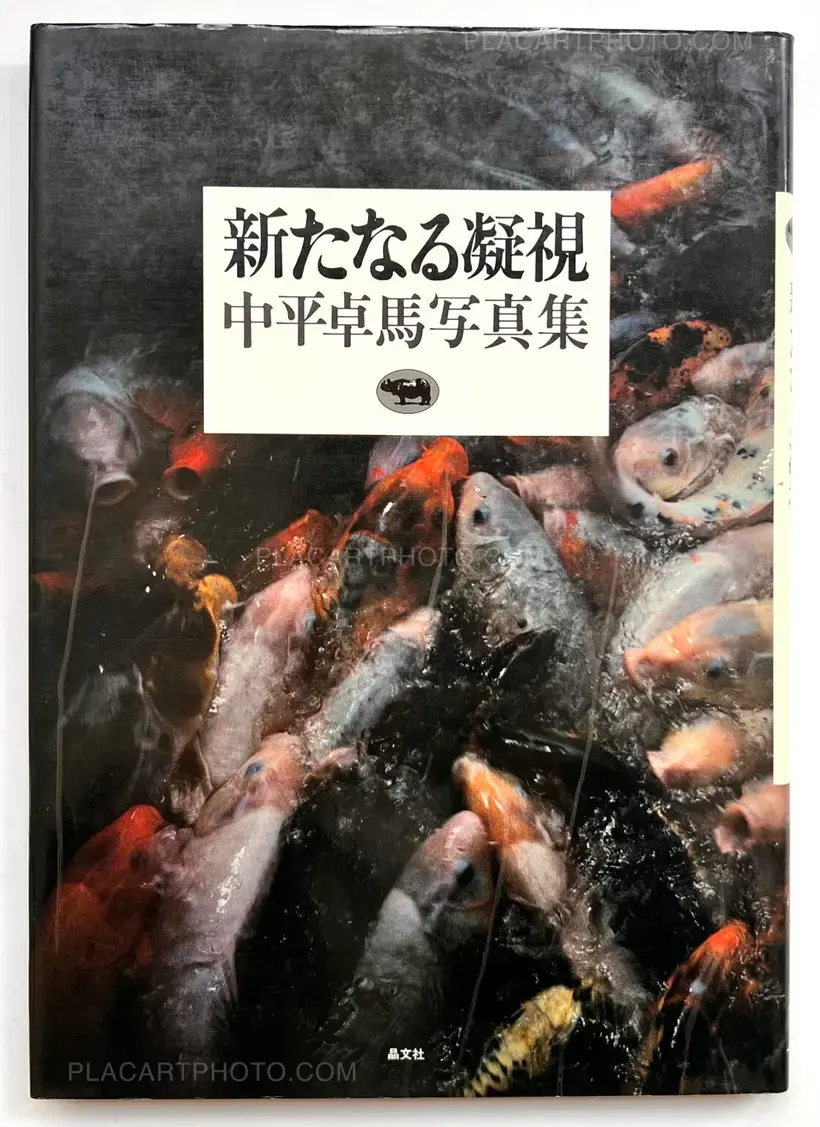 Aratanaru gyoushi / New Gaze