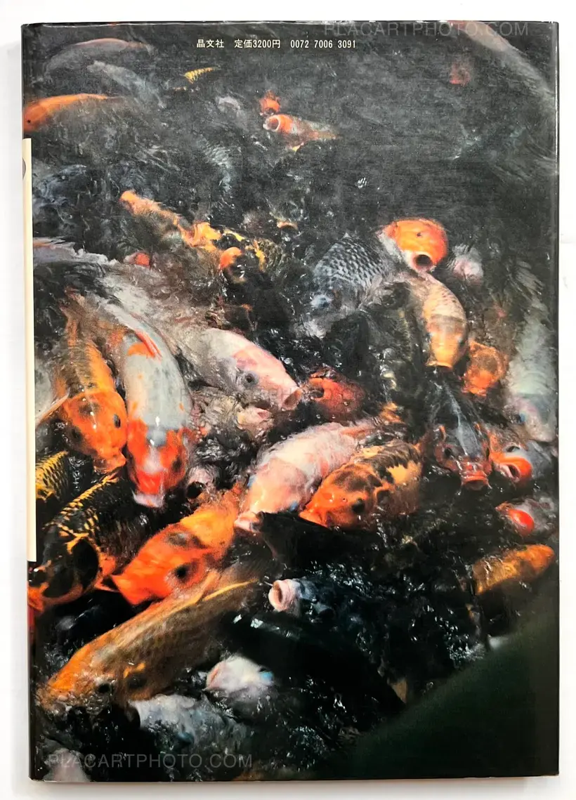 Aratanaru gyoushi / New Gaze