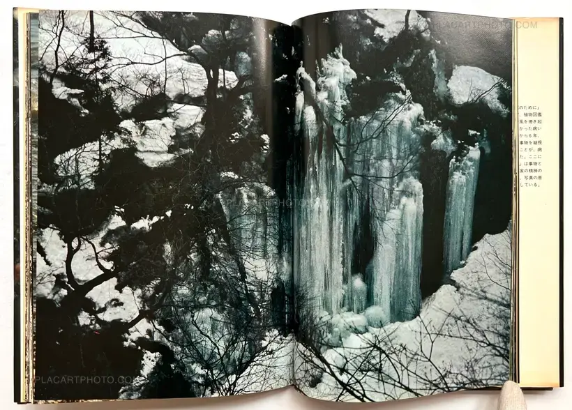 Aratanaru gyoushi / New Gaze