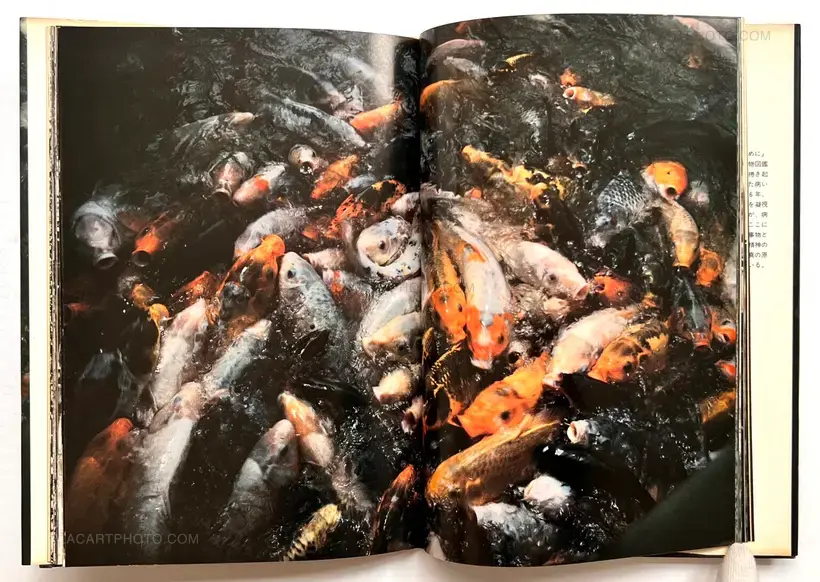 Aratanaru gyoushi / New Gaze