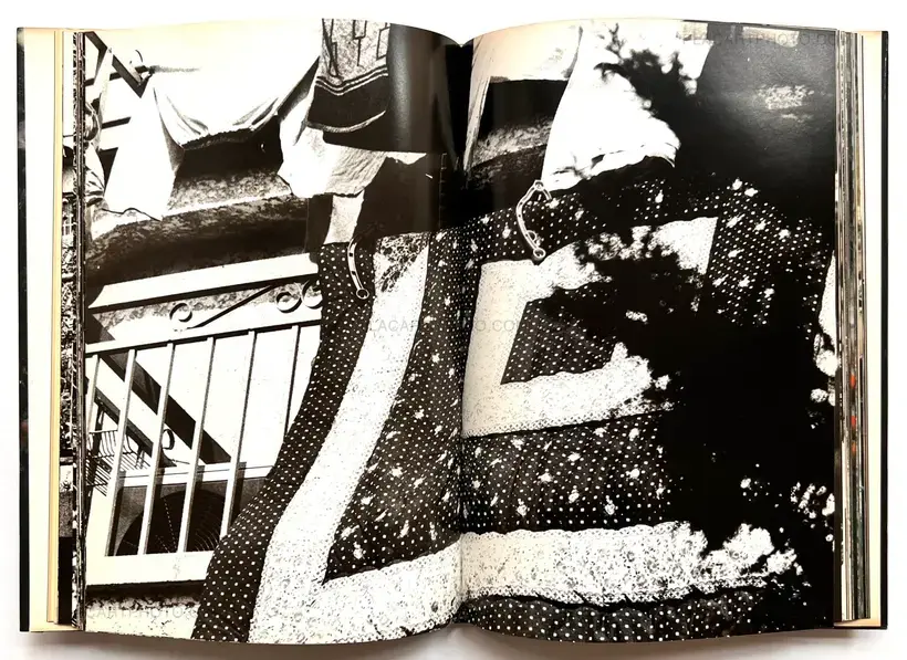 Aratanaru gyoushi / New Gaze