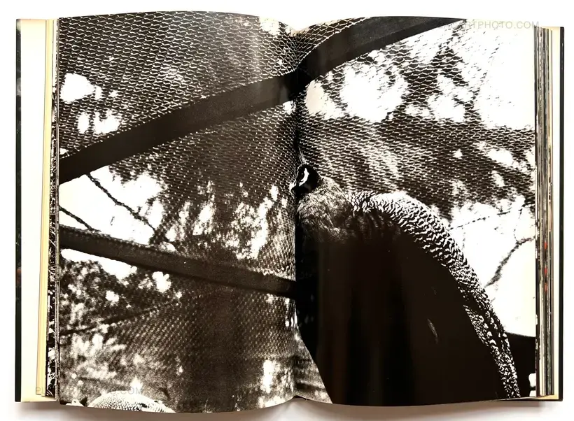 Aratanaru gyoushi / New Gaze