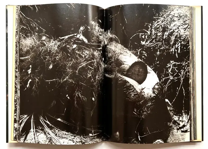 Aratanaru gyoushi / New Gaze