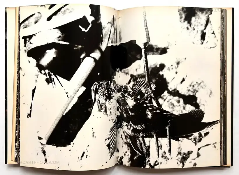 Aratanaru gyoushi / New Gaze