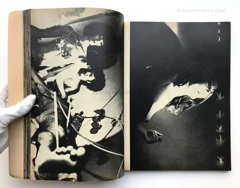 Andy Warhol - The Stockholm catalogue (THIRD EDT)