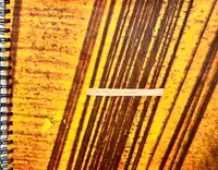 In filth it will be found (UNIQUE COPY)