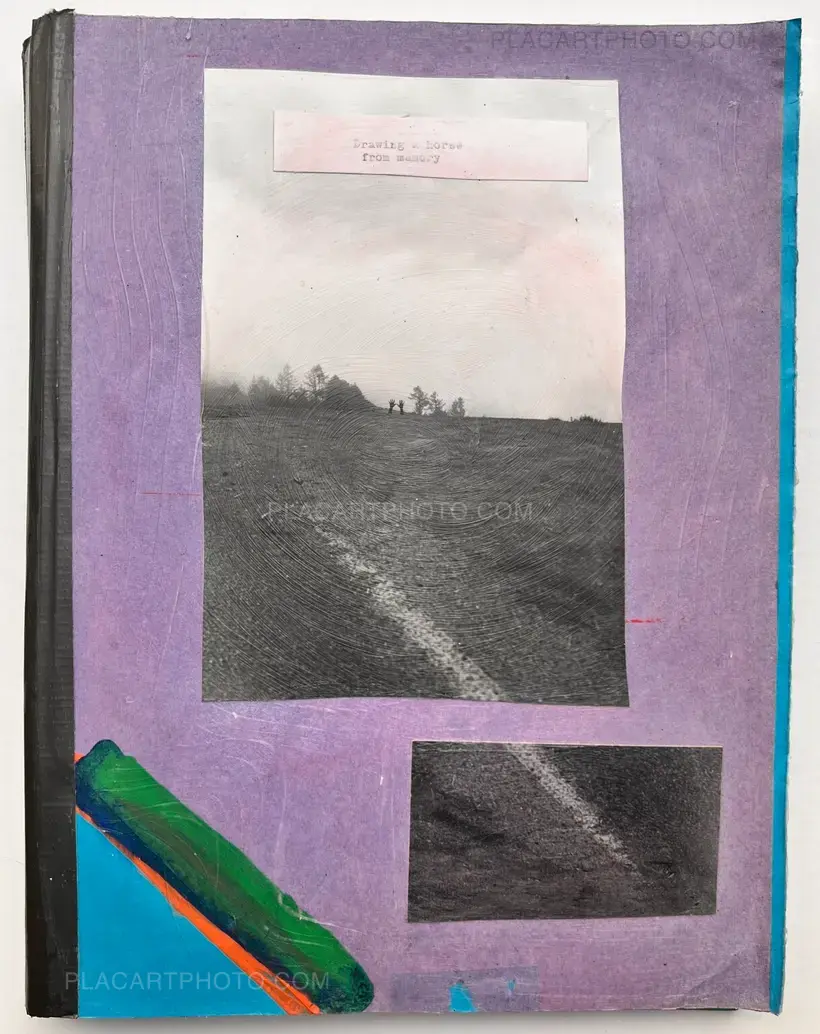 Drawing a horse from Memory (UNIQUE BOOK)