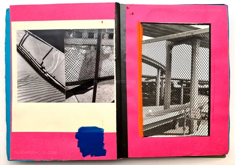 Drawing a horse from Memory (UNIQUE BOOK)