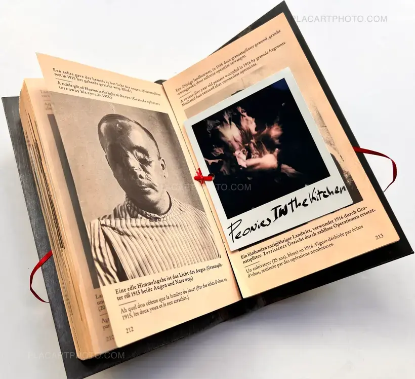 Seing against seing (Exhibition copy of 4)