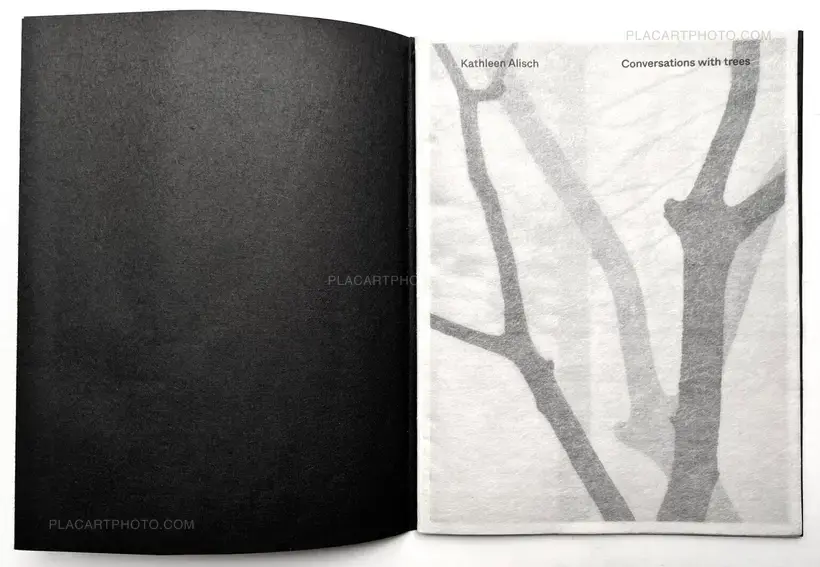 Conversations with trees (EDT OF 6)