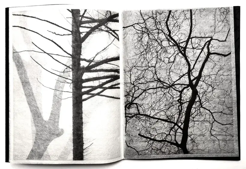 Conversations with trees (EDT OF 6)