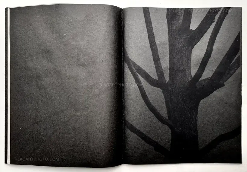 Conversations with trees (EDT OF 6)