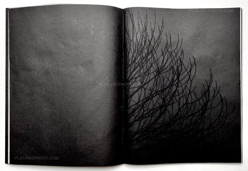 Conversations with trees (EDT OF 6)