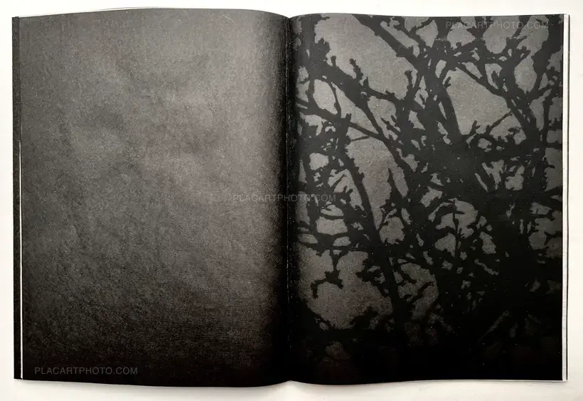 Conversations with trees (EDT OF 6)