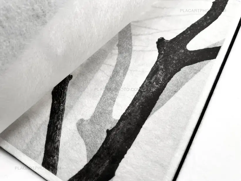 Conversations with trees (EDT OF 6)