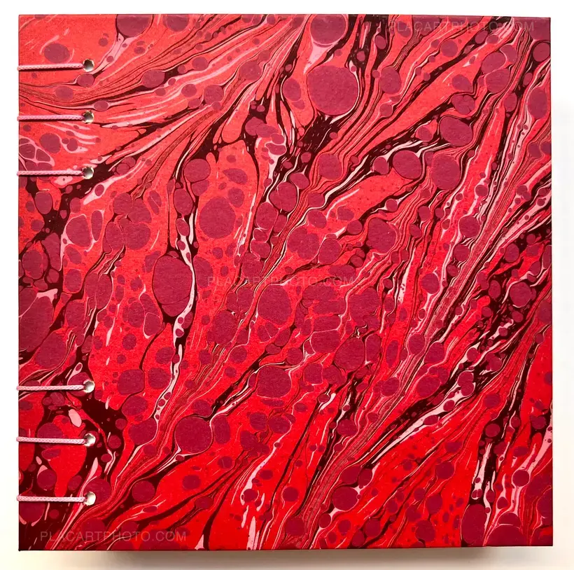 AMOUR TU DOIS REVENIR (« You have to come back, love ») (EDT OF 50)