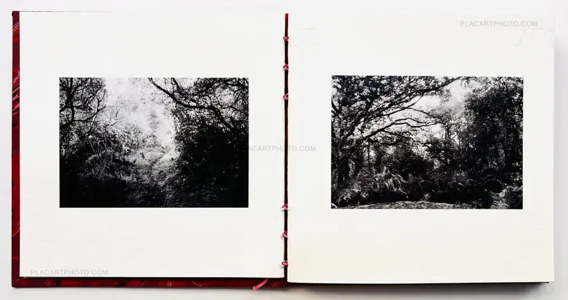 AMOUR TU DOIS REVENIR (« You have to come back, love ») (EDT OF 50)