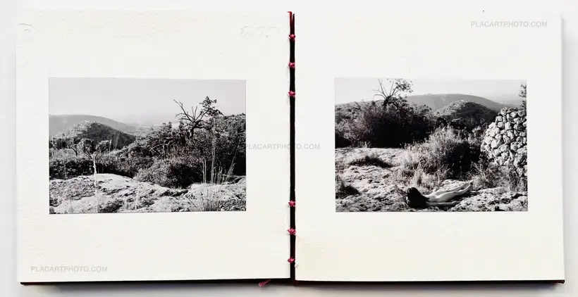 AMOUR TU DOIS REVENIR (« You have to come back, love ») (EDT OF 50)