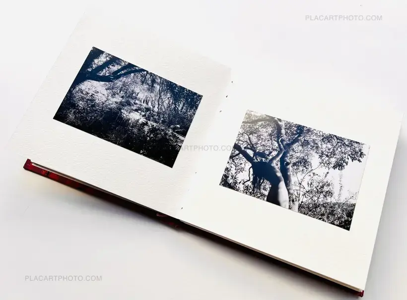 AMOUR TU DOIS REVENIR (« You have to come back, love ») (EDT OF 50)