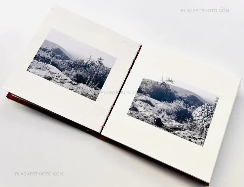 AMOUR TU DOIS REVENIR (« You have to come back, love ») (EDT OF 50)