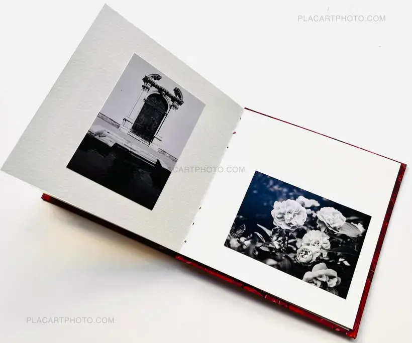 AMOUR TU DOIS REVENIR (« You have to come back, love ») (EDT OF 50)