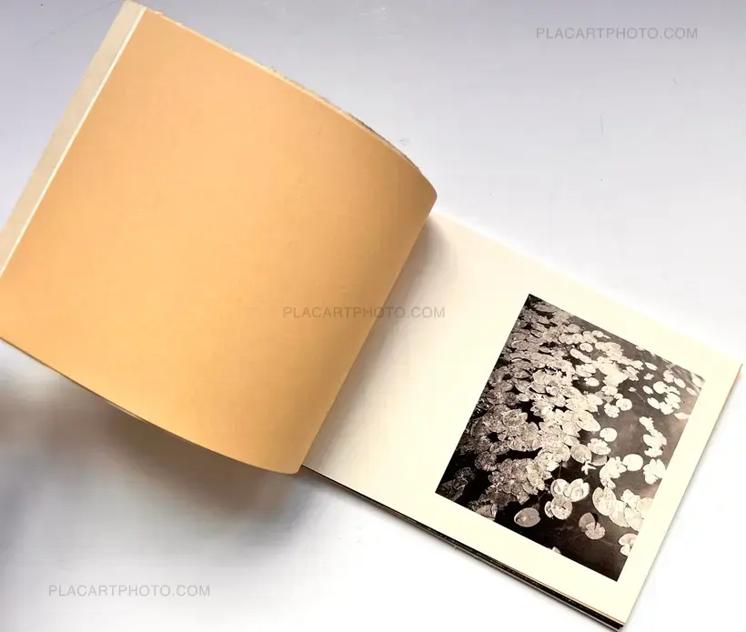 Osten (EDT OF 10) (LAST ONE)