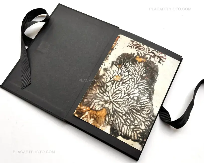 Vues Minuscules (V) (EDT OF 5)