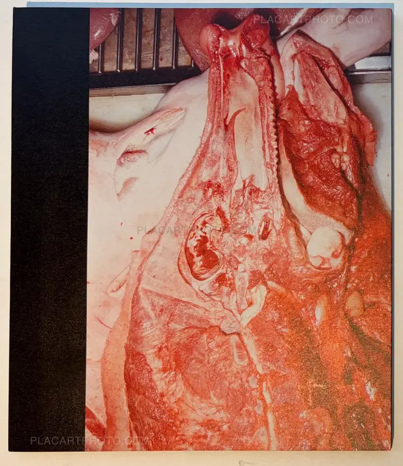 THE SHIRT IS INSIDE OUT (SIGNED)