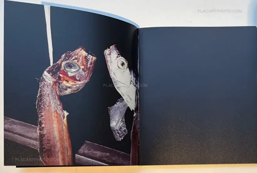 THE SHIRT IS INSIDE OUT (SIGNED)