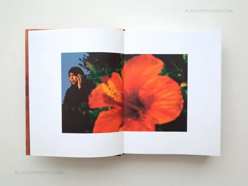 In the Shadow of the Pyramids (signed)