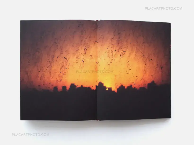 In the Shadow of the Pyramids (signed)