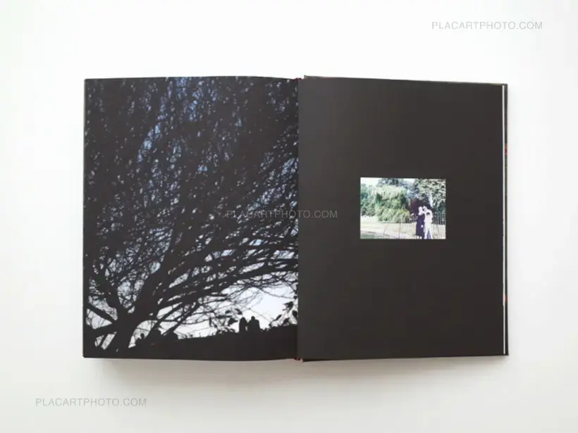 In the Shadow of the Pyramids (signed)