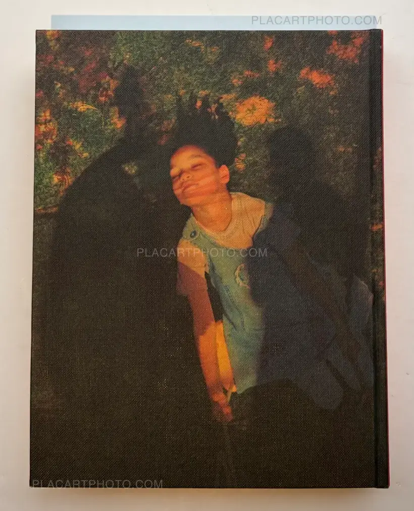 In the Shadow of the Pyramids (signed)