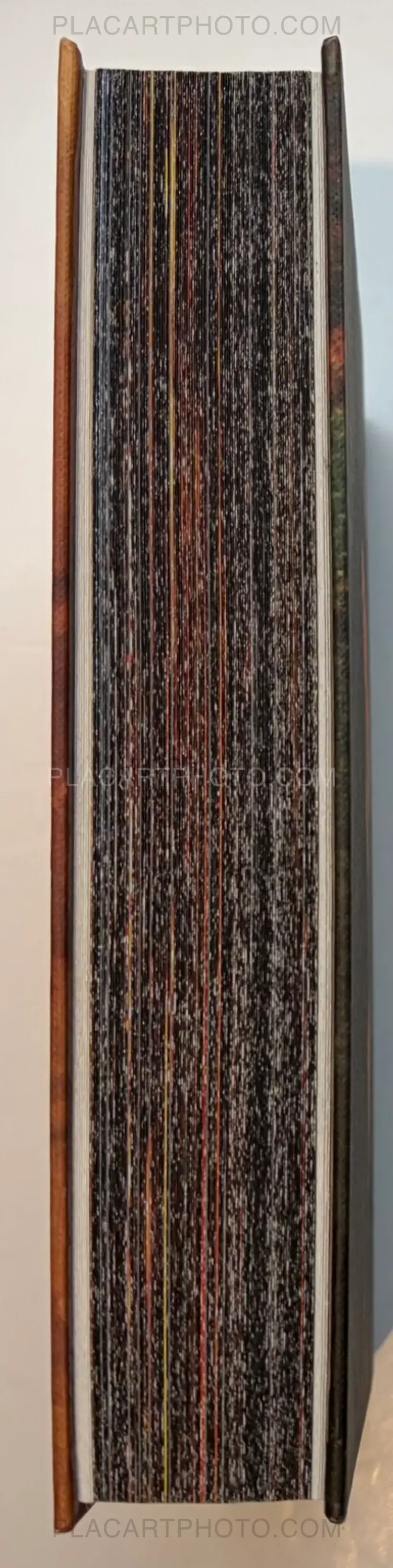 In the Shadow of the Pyramids (signed)