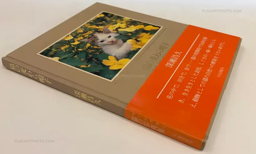 Neko no mugiwara boshi / The Strawhat Cat (Signed)