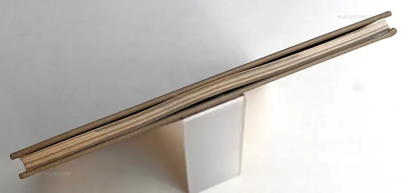 Neko no mugiwara boshi / The Strawhat Cat (Signed)