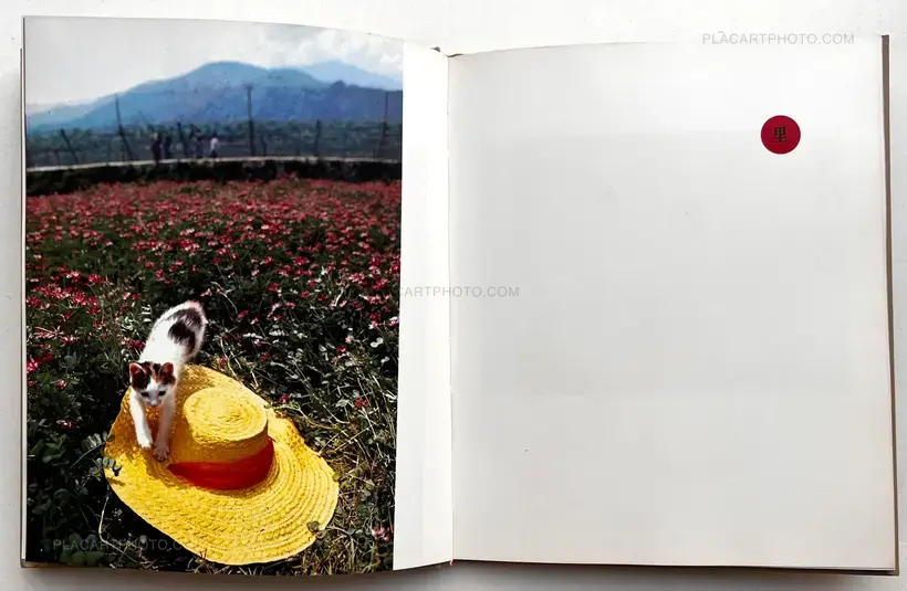 Neko no mugiwara boshi / The Strawhat Cat (Signed)