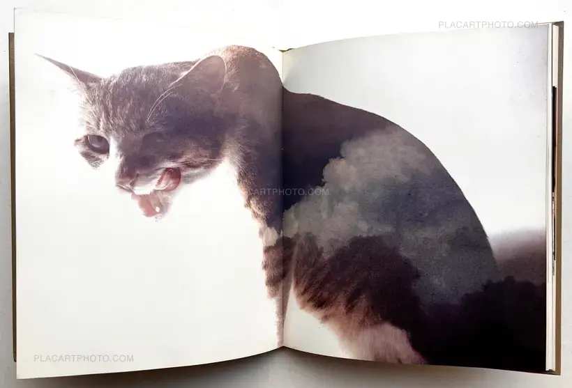 Neko no mugiwara boshi / The Strawhat Cat (Signed)