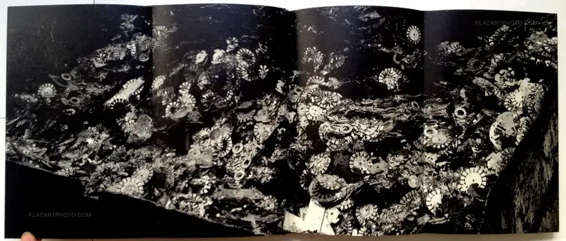 Chizu / The Map (Signed)