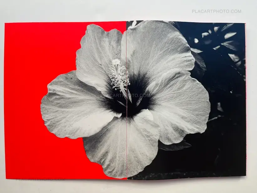 Trilogy : Lot of 3 books (Handmade edt with prints)