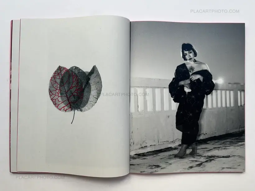 Trilogy : Lot of 3 books (Handmade edt with prints)