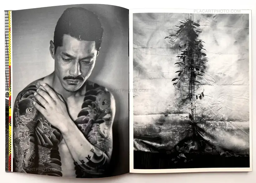 Trilogy : Lot of 3 books (Handmade edt with prints)