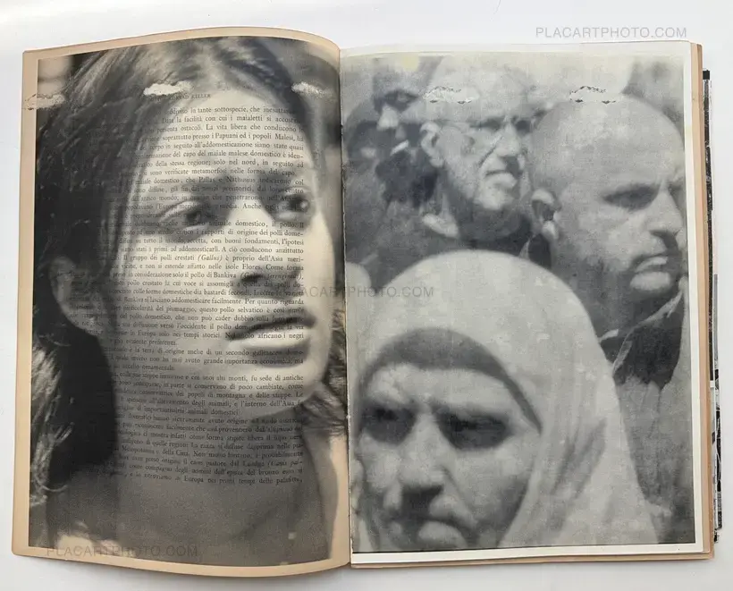 STRATI (SIGNED EDT OF 7)