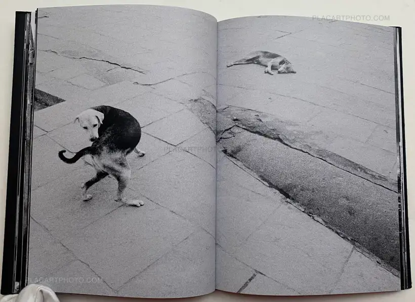 The Waiting Room (Signed)