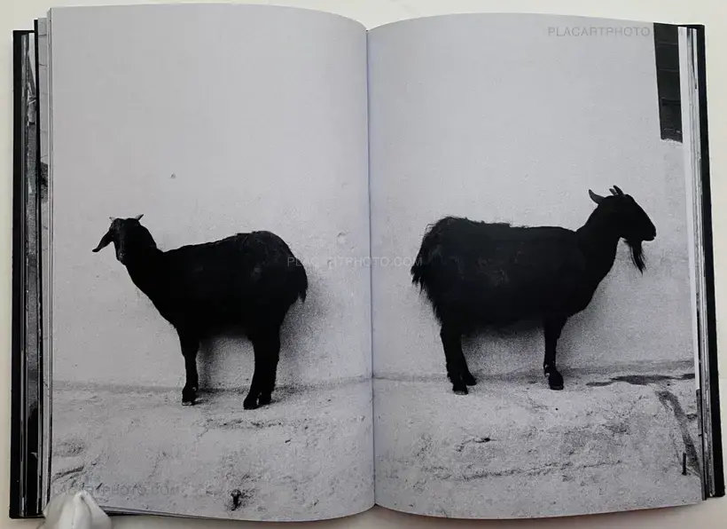 The Waiting Room (Signed)