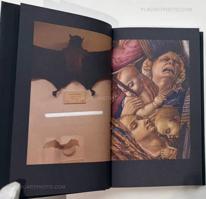 "...in search of window of Opportunity / Exodus..."