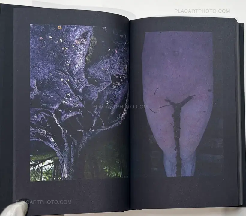 "...in search of window of Opportunity / Exodus..."