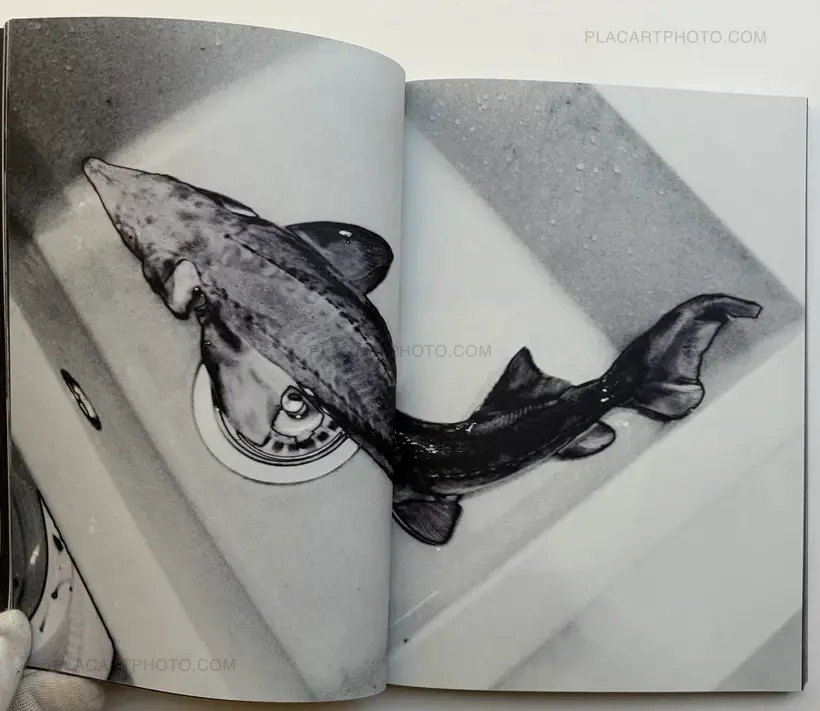 Kristina 18 (SIGNED BACK IN STOCK)